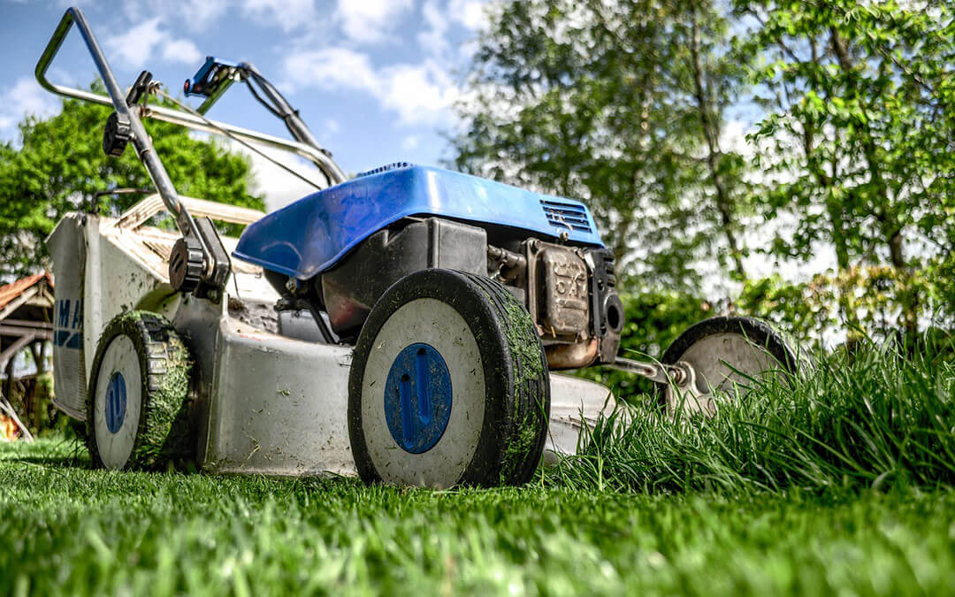 How to choose the right lawn mower for your yard